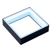 CCS希希愛視環(huán)形光源FPQ2-120BL,FPQ2-120BL